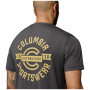 Muška majica Columbia Parsons Point™ SS Back Graphic Tee