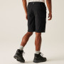 Muške kratke hlače Regatta Highton Shorts Long II