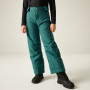 Dječje skijaške hlače Dare 2b Outmove III Insulated Pant Mediterranea