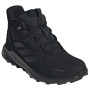 Muške cipele za planinarenje Adidas Terrex Anylander Leather Mid Climaproof