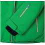 Muška skijaška jakna Dare 2b Rendor Jacket