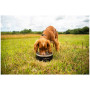 Zdjelica za psa Mountain Paws Basecamp Dog Bowl