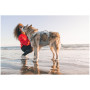 Ogrlica za psa Ruffwear Swamp Cooler Harness