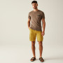 Muške kratke hlače Regatta Shorebay Shorts II