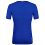 Muška majica Salewa Zebru Fresh Amr M T-Shirt.