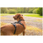 Ogrlica za psa Mountain Paws 3-Strap Dog Harness