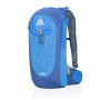 Muški ruksak Gregory Miwok 12 svijetlo plava ReflexBlue