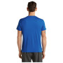 Muška majica Icebreaker Men Merino 150 Tech Lite SS Tee Range Stripes