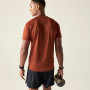 Muška majica Dare 2b Accelerate Tee